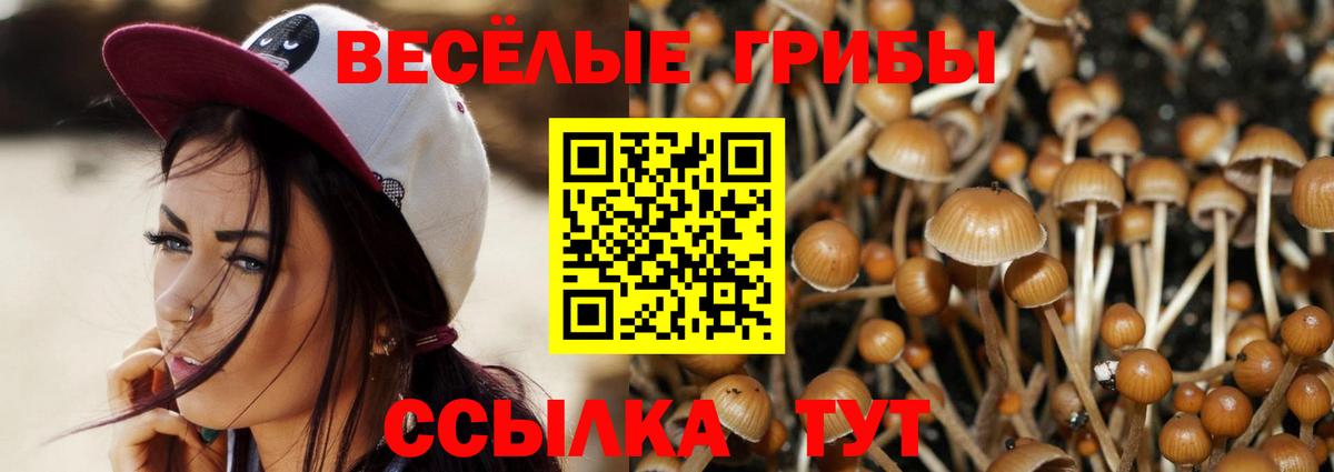 Галлюциногенные грибы Cubensis Знаменск